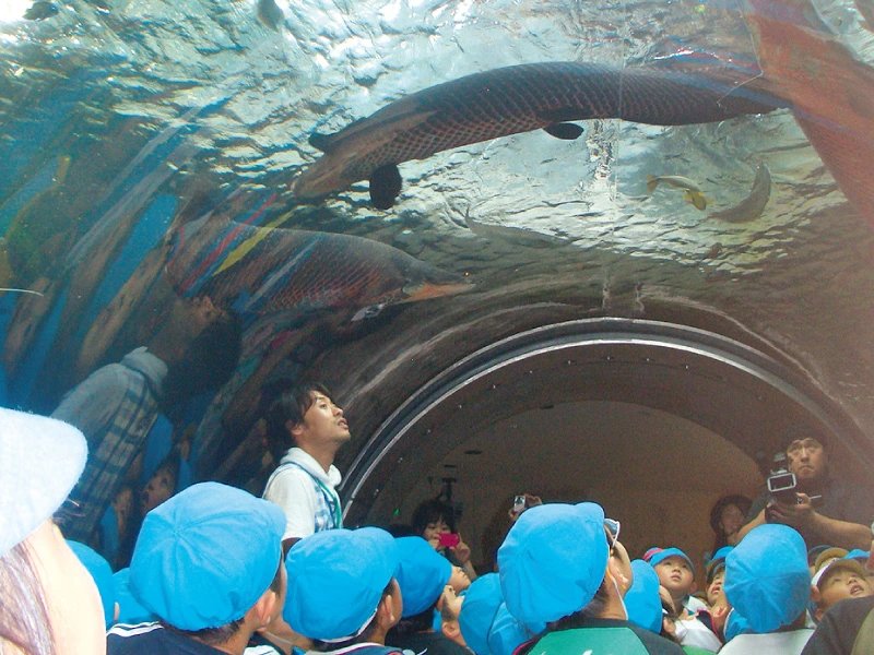 🐠 나카가와 물놀이 공원(나카가와 스이유엔) 이미지 10